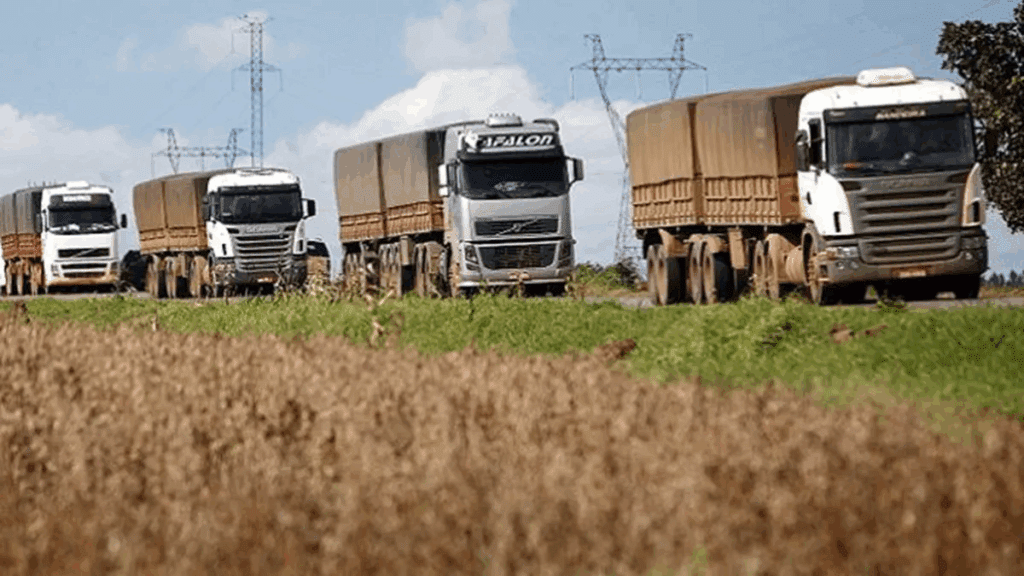Evolución normativa de tarifas en fletes agropecuarios