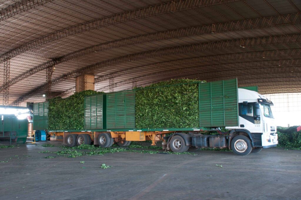 flete en alimentos de yerba mate en Argentina